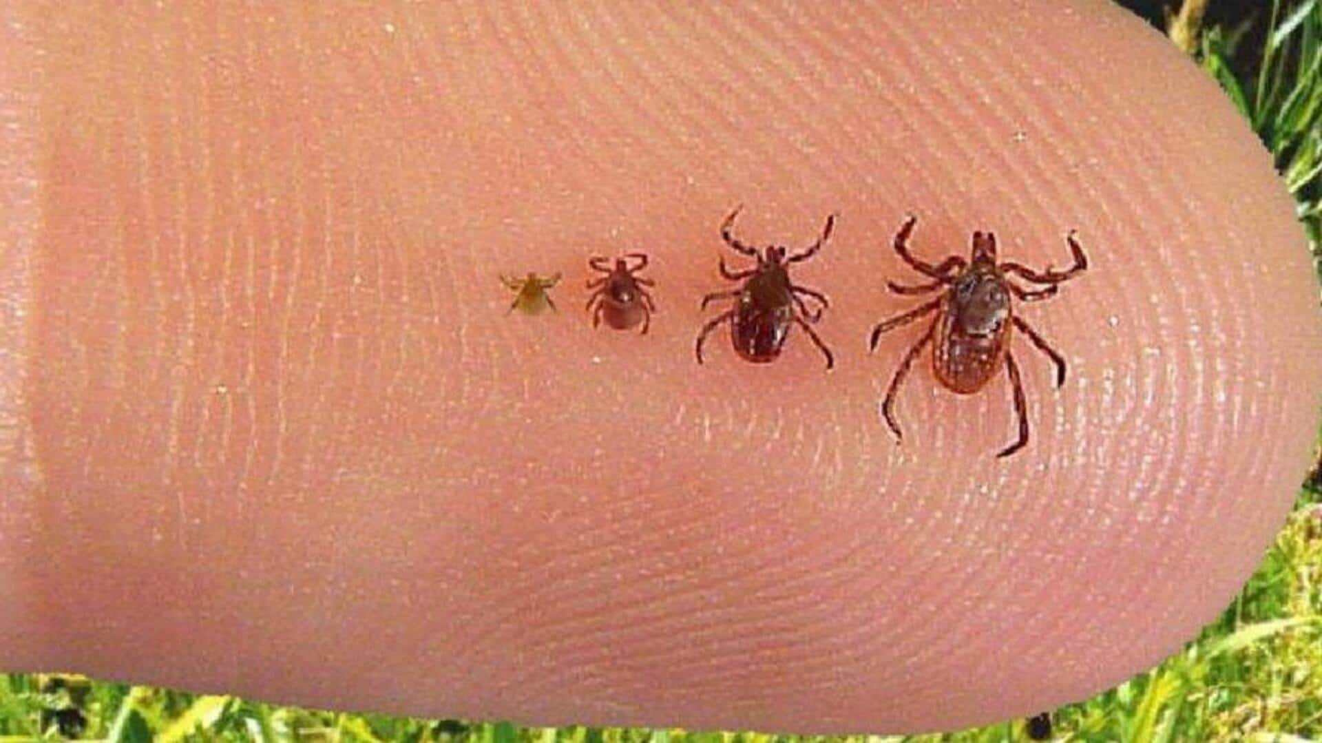 US sees rise in tick-borne disease Babesiosis; know its symptoms 