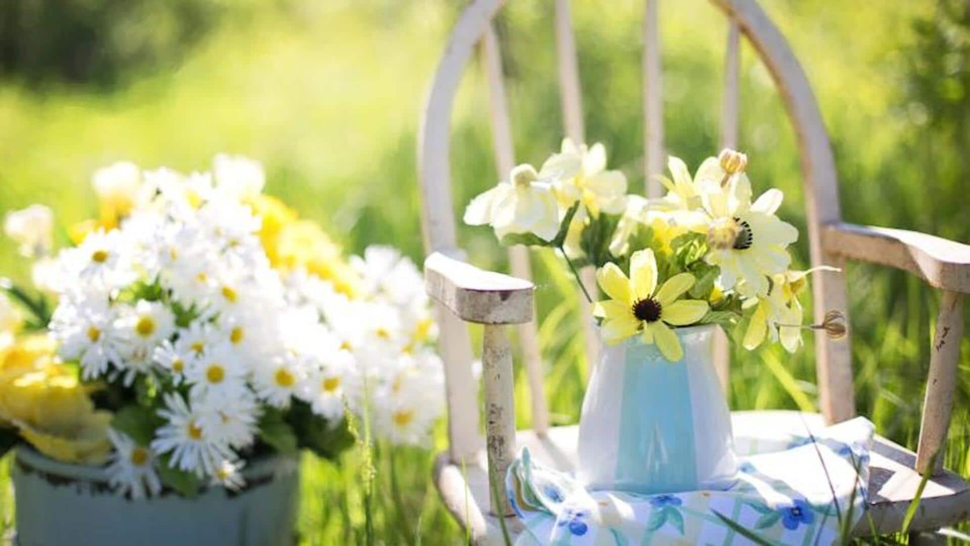 Transform your garden on a budget with these hacks Transform your garden on a budget with these hacks