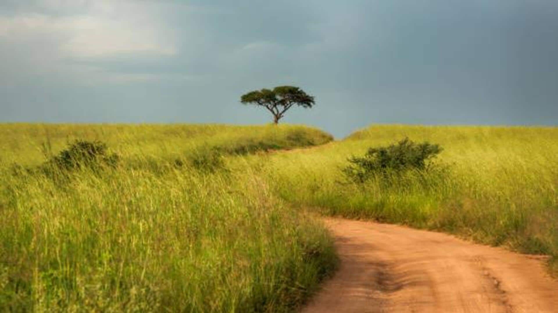 Hiking in the savanna: 5 epic trails to explore Hiking in the savanna: 5 epic trails to explore