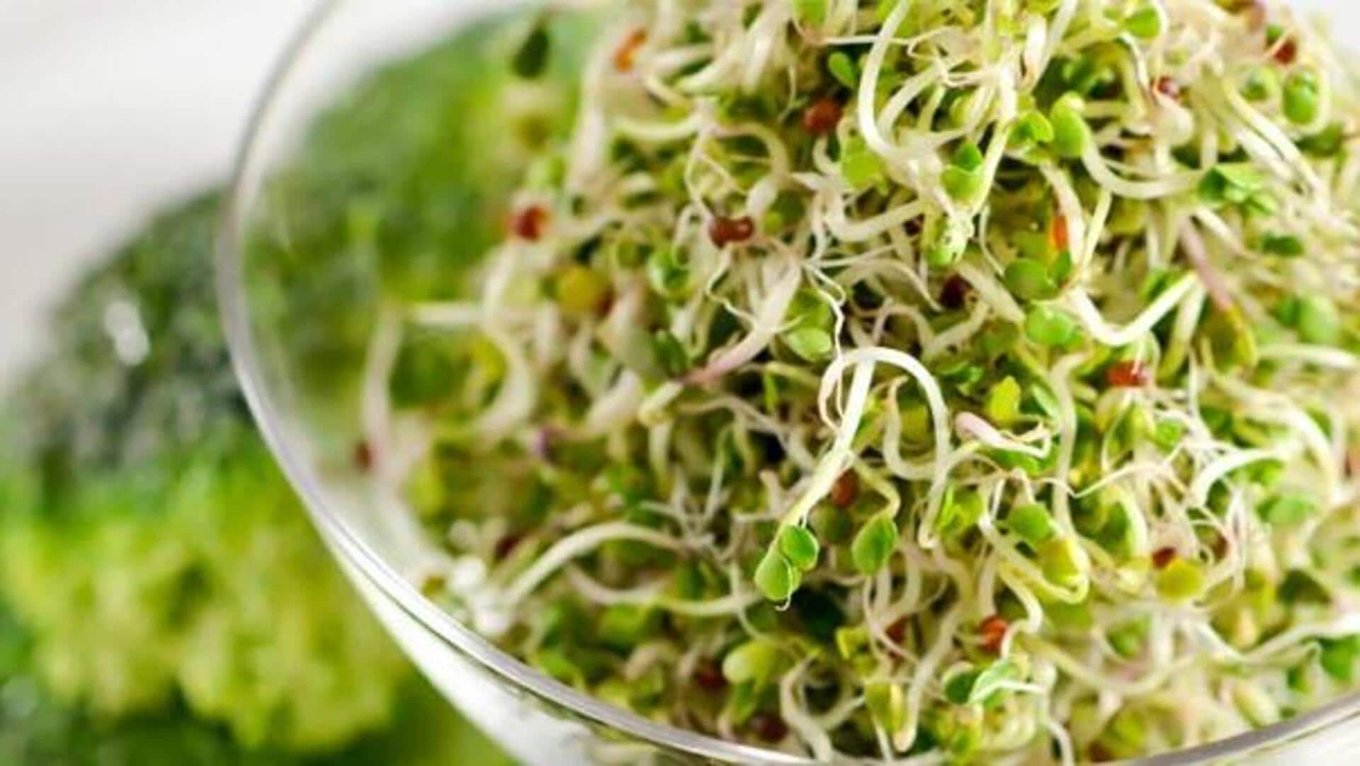 Why you must add broccoli sprouts to your diet