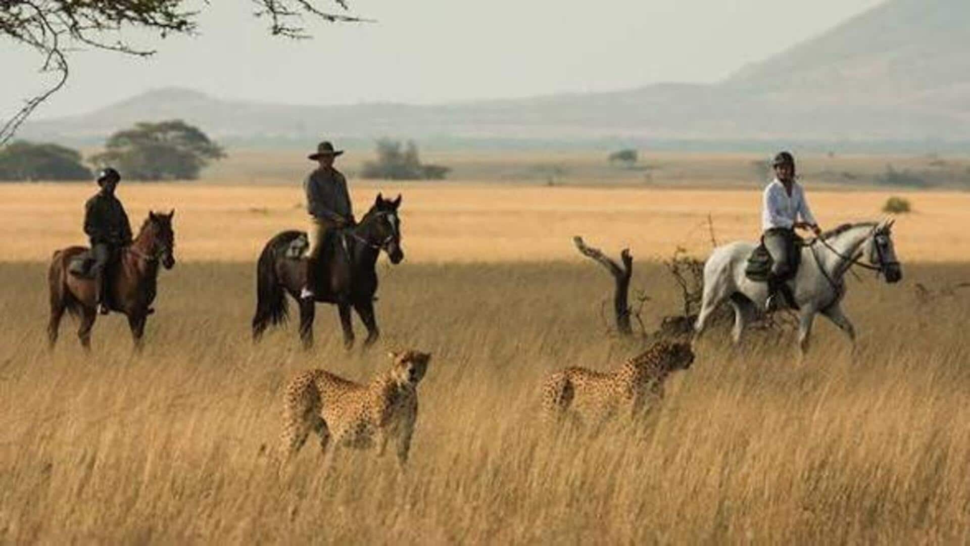 Discover Africa's landscapes on a horseback safari 