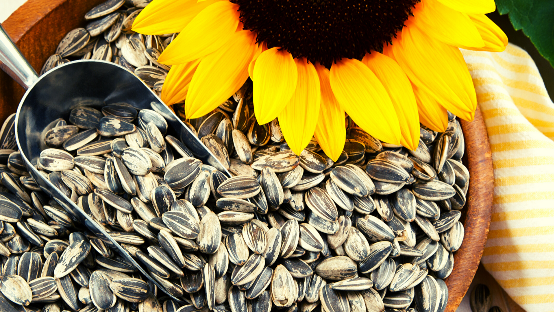 Why nutritionists recommend these Ukrainian snacks