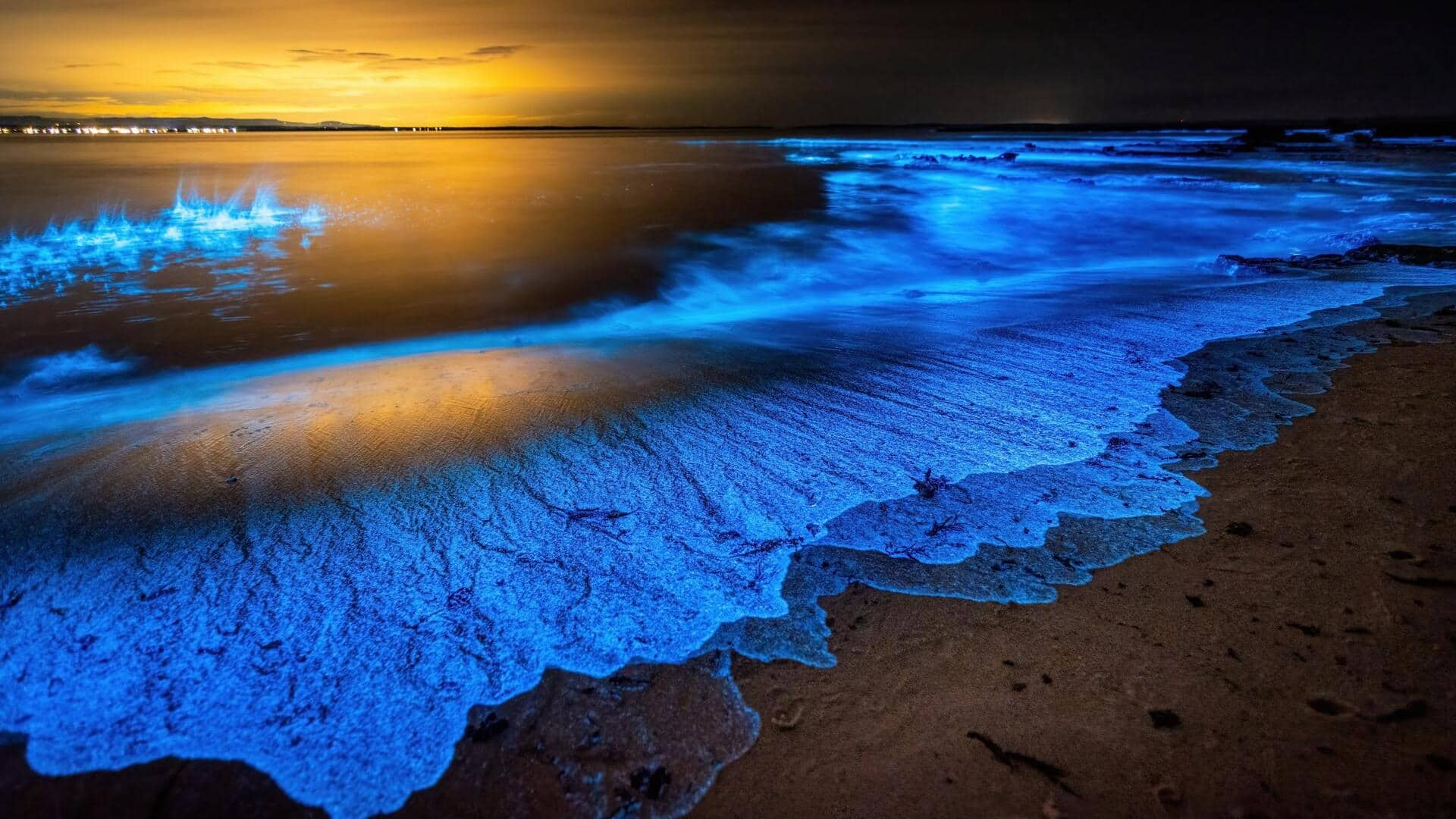 Discover bioluminescent beaches in the Maldives