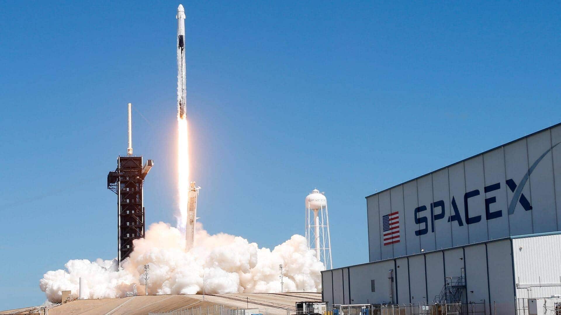 Musk's SpaceX can now acquire wildlife refuge land in Texas
