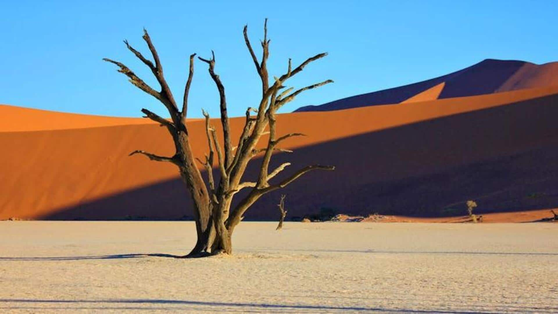 Glide across the Namib Desert, Namibia: An unforgettable sandboarding adventure