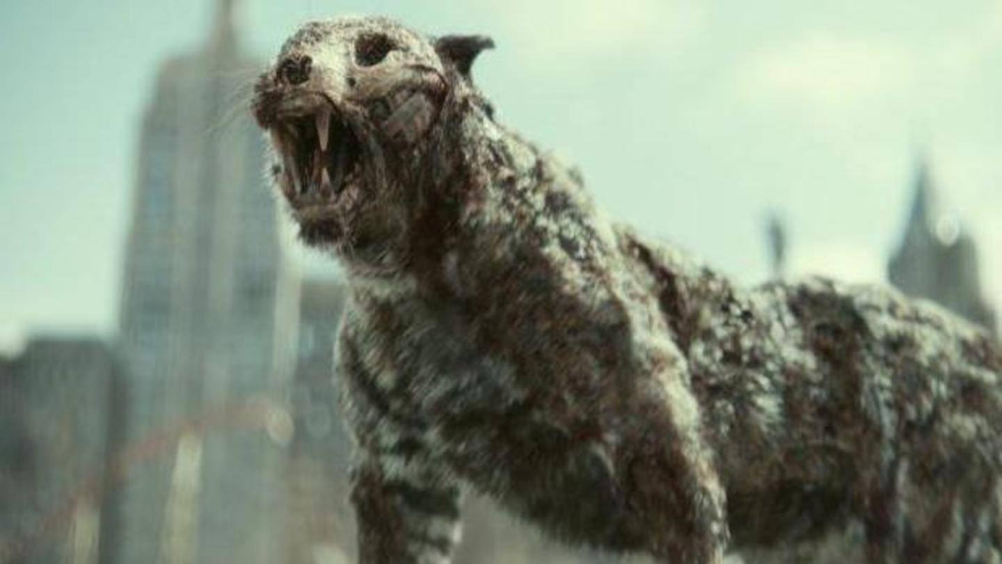 The zombie tiger was a true visual treat The zombie tiger was a true visual treat
