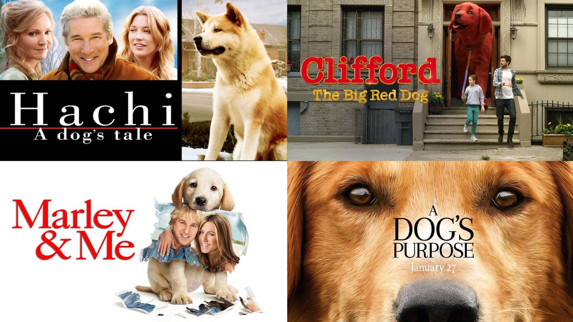 Top 5 must-watch Hollywood movies for dog lovers
