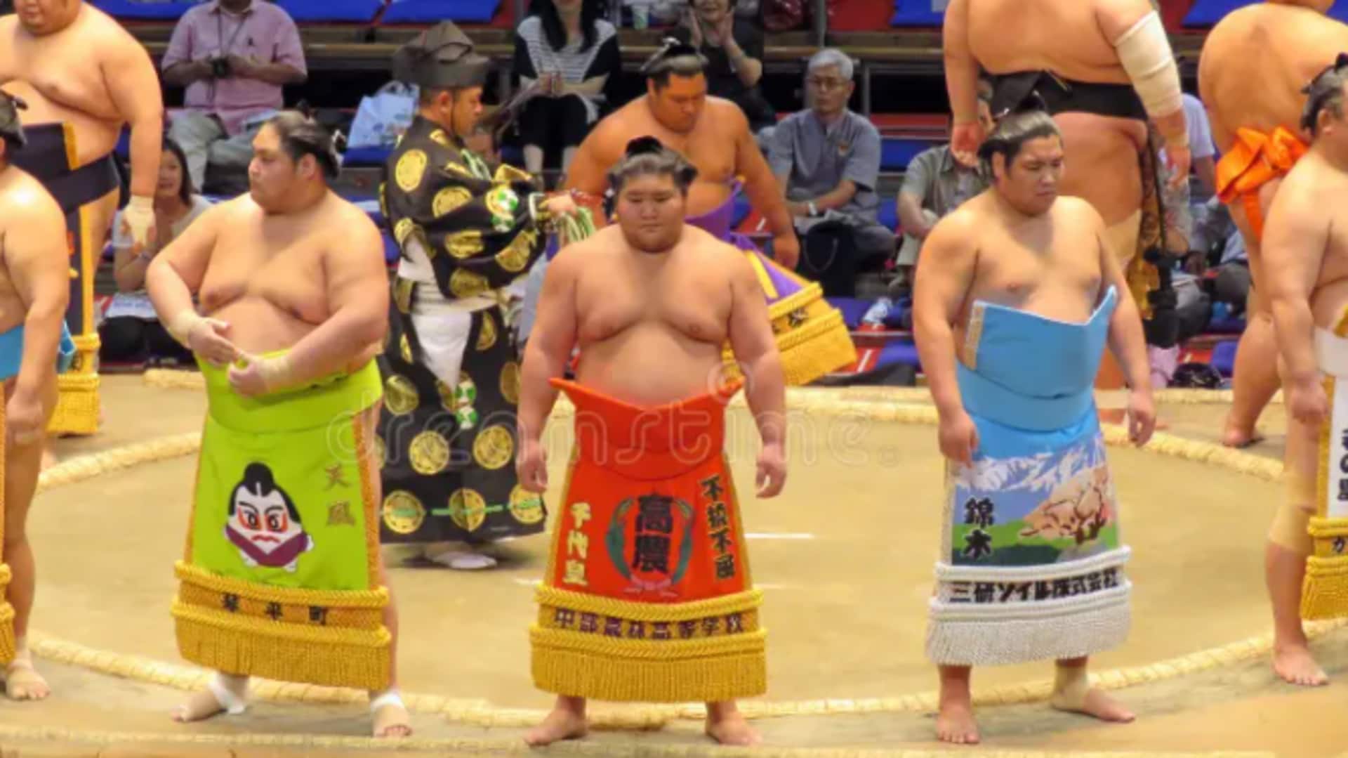 Unveil Tokyo's sumo secrets with this guide