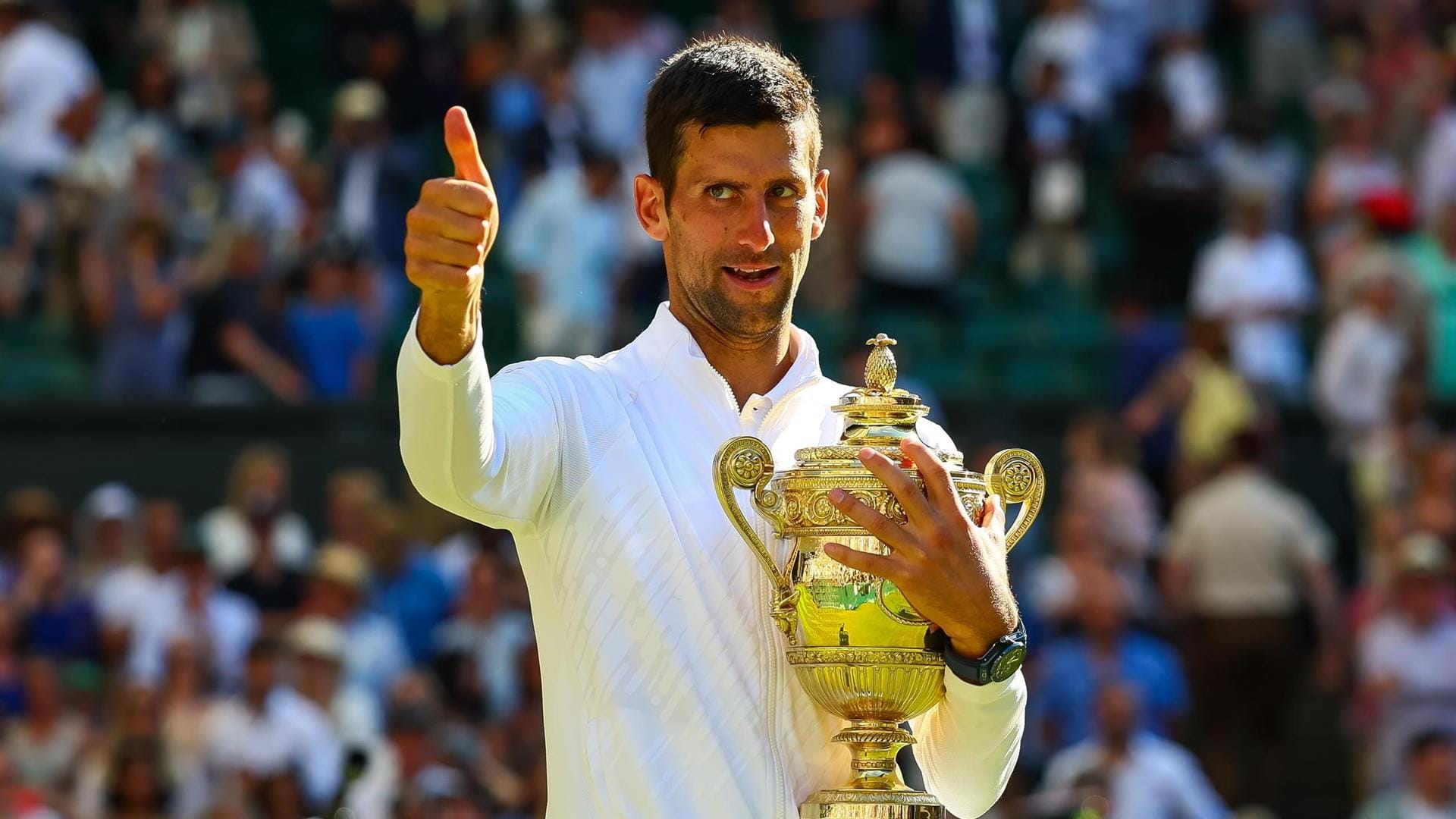 Wimbledon 2023: Novak Djokovic can break these records