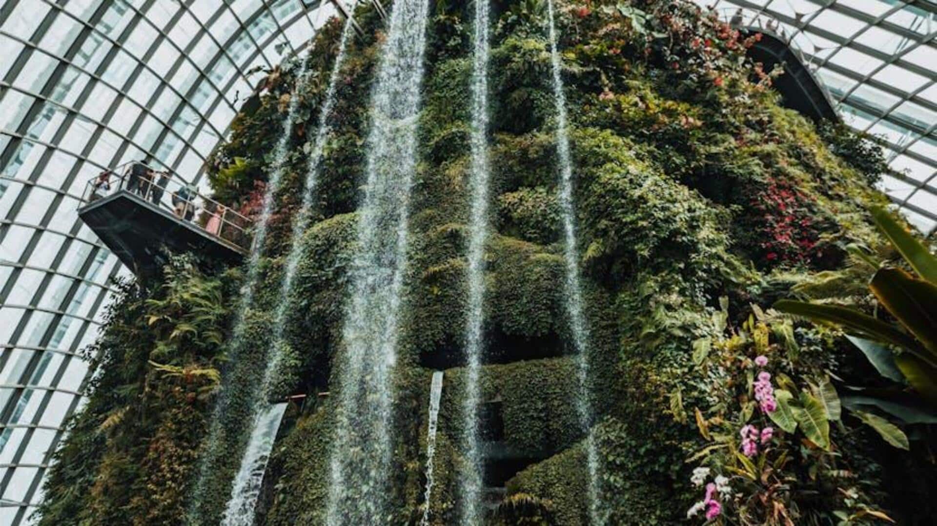 How to craft a vertical garden like a pro How to craft a vertical garden like a pro