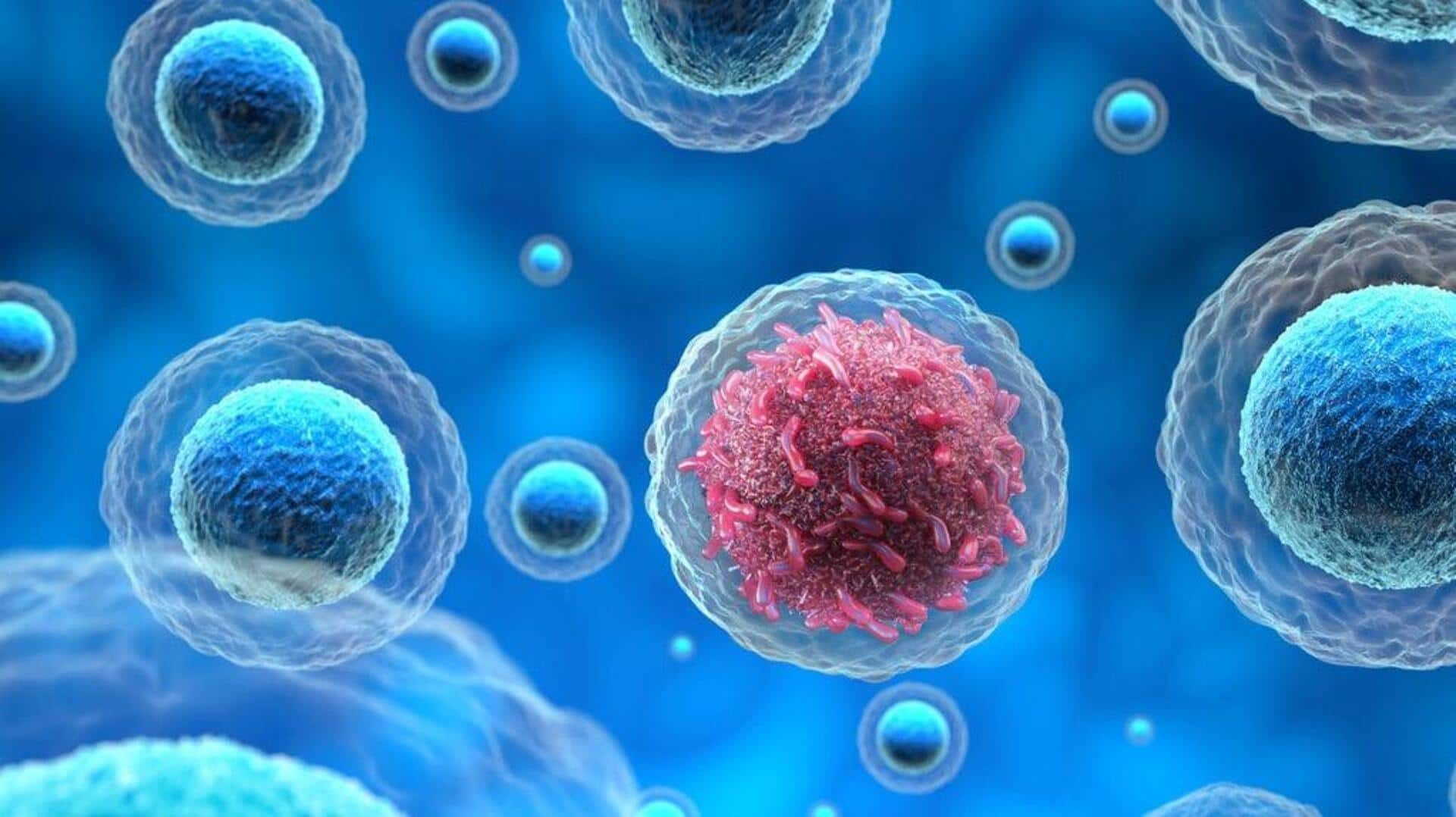 Scientists reveal how small DNA circles fuel cancer growth