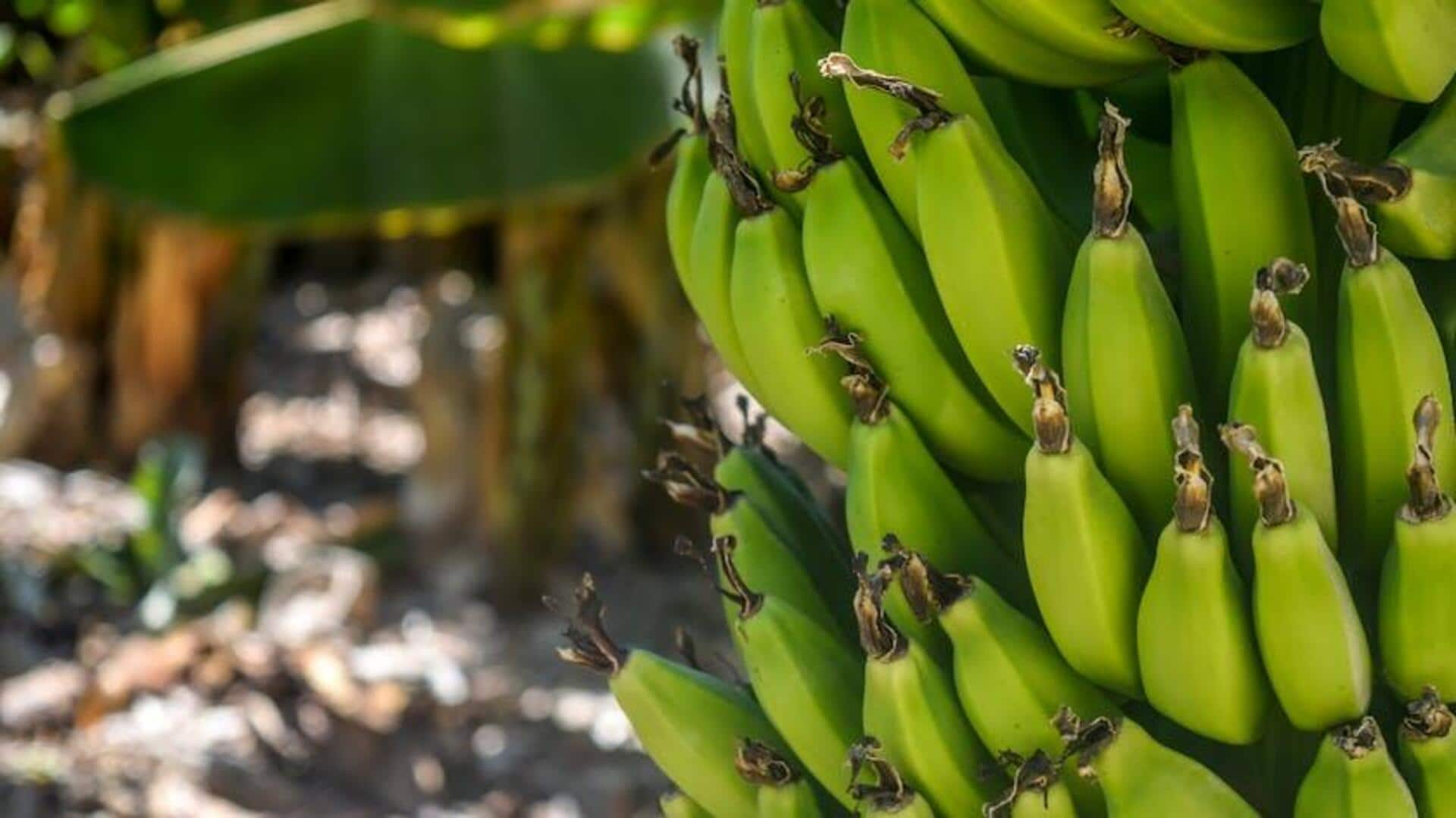 Quintessential Ugandan vegetarian ingredients