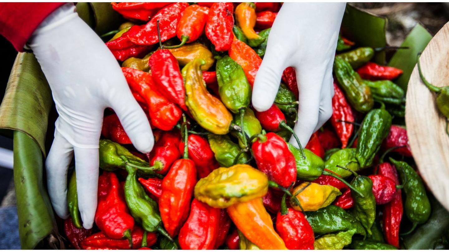 Ghost pepper aka 'bhut jolokia' fires up digestive system Ghost pepper aka 'bhut jolokia' fires up digestive system