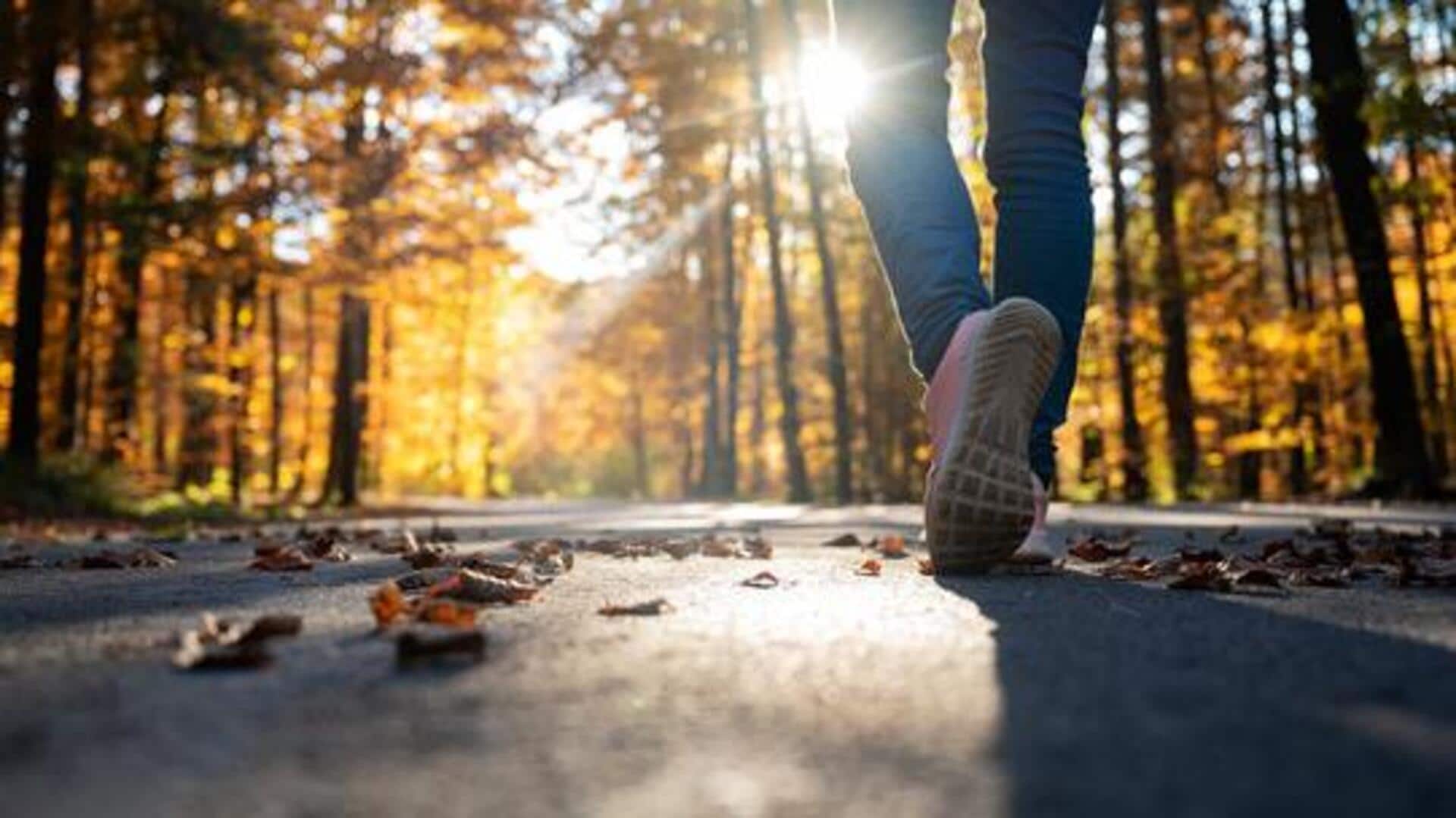 How to get the most out of your nature walks 