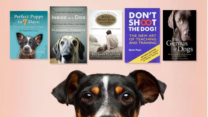 5 essential reads before you adopt a dog
