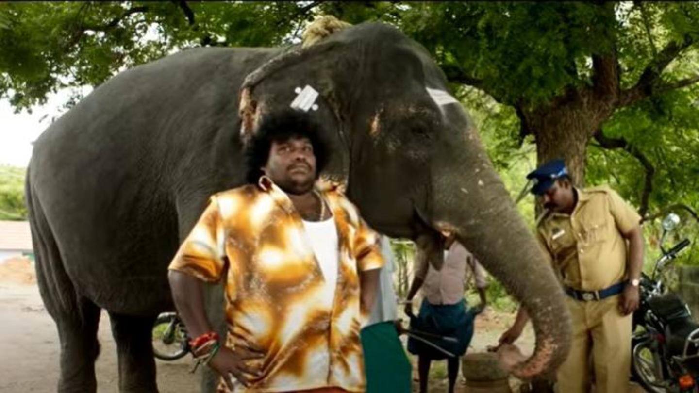 Both Sethupathi and Yogi Babu's roles look strong Both Sethupathi and Yogi Babu's roles look strong