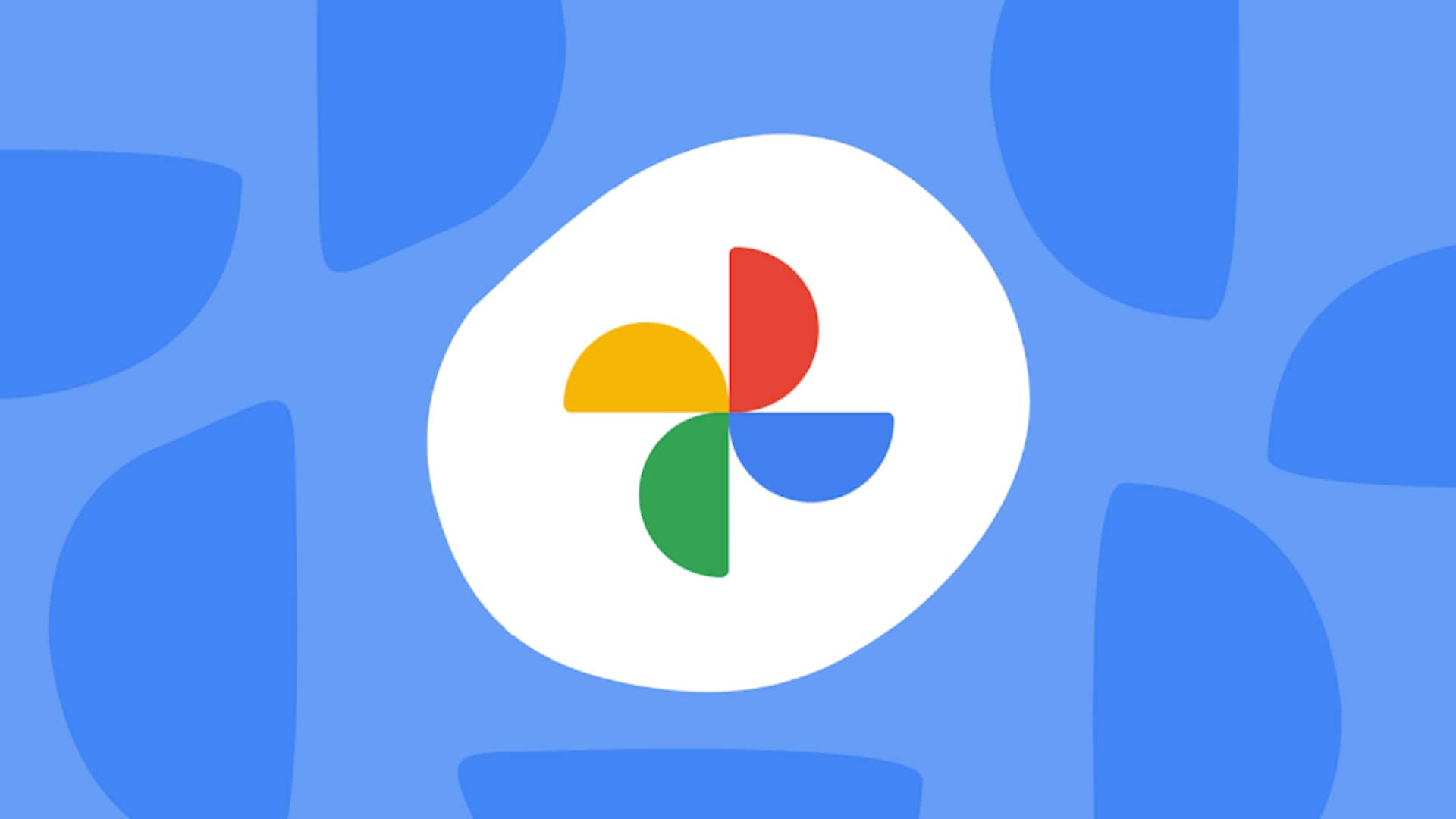 How to use Google Photos's AI features to organize library