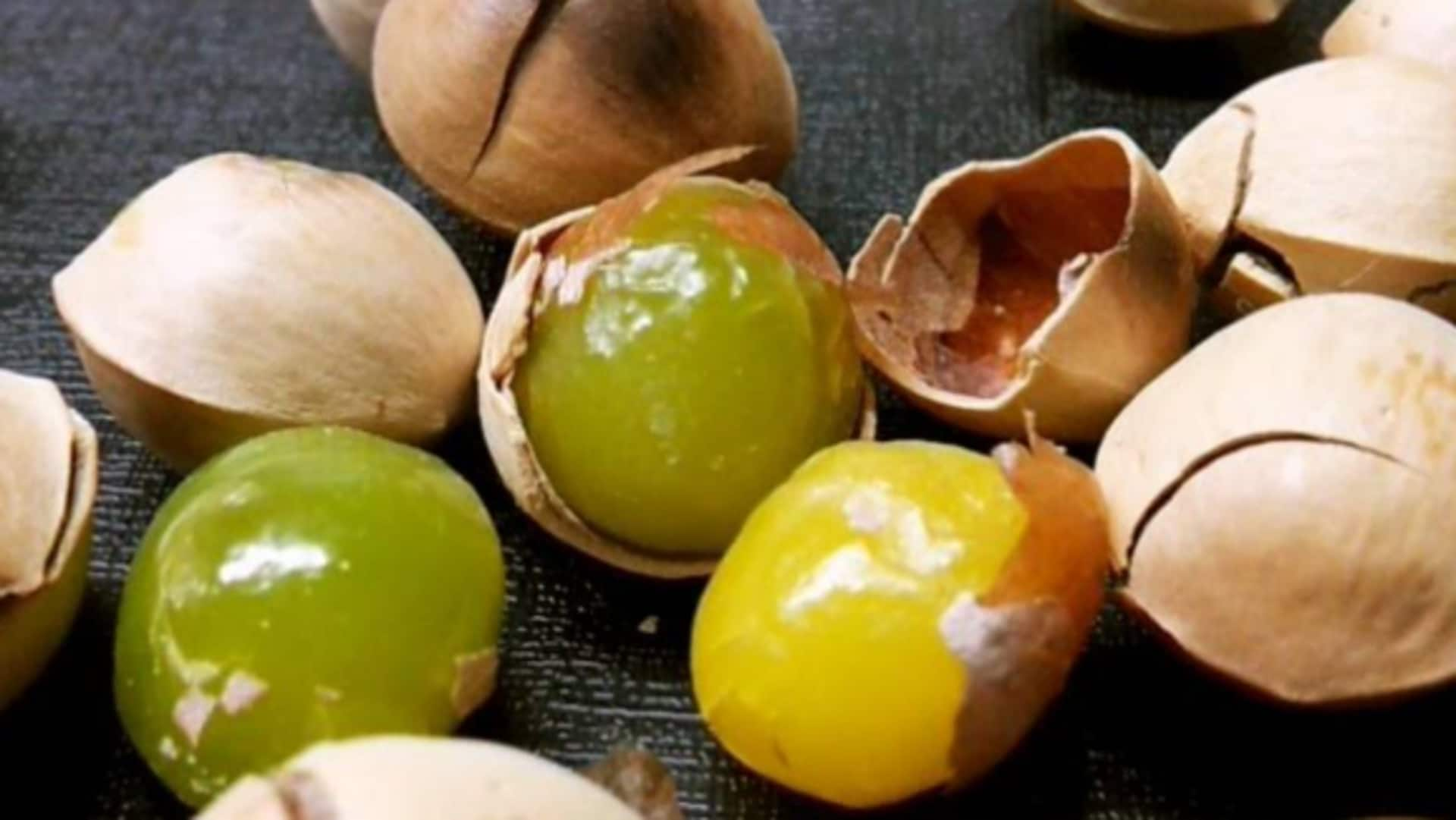 Boost your brain with vegan ginkgo snacks