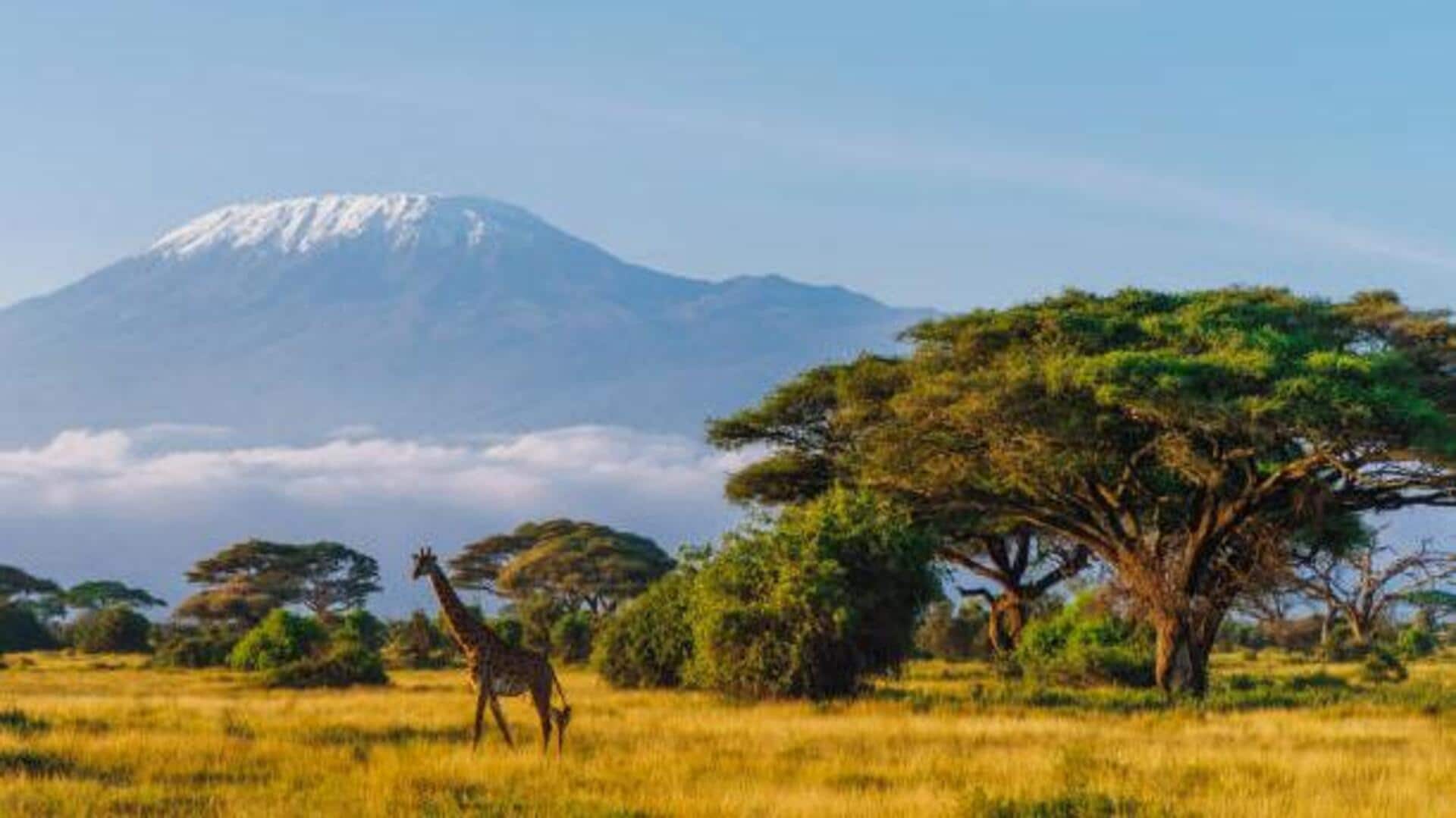 Africa's most peaceful national parks: A list