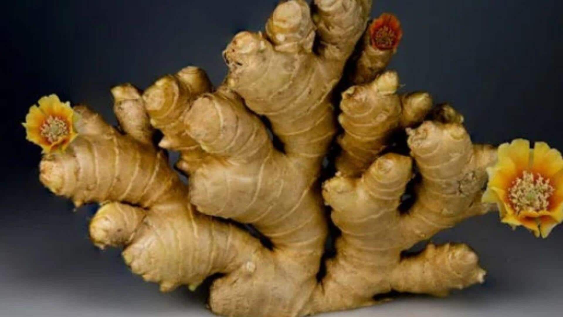 Zesty ginger ideas for quick and tasty meals Zesty ginger ideas for quick and tasty meals