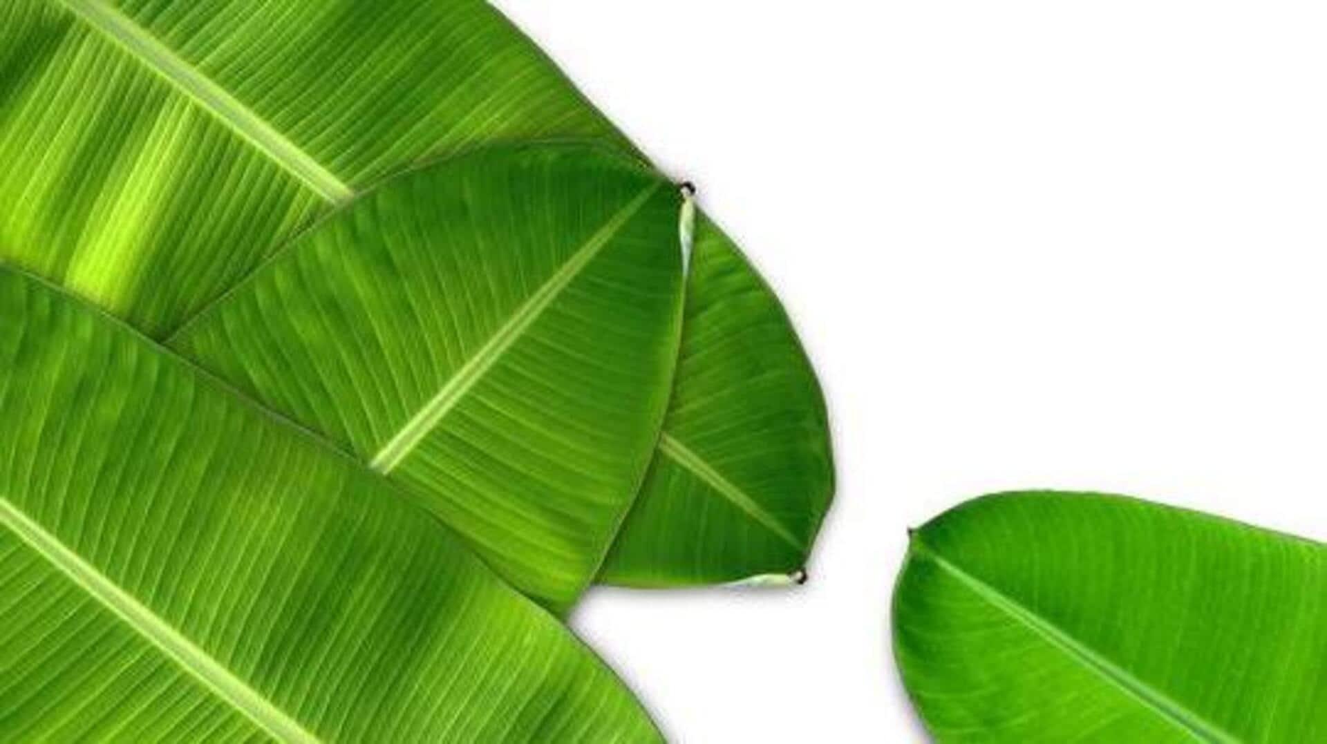 How ancient tribes used banana leaves for beauty