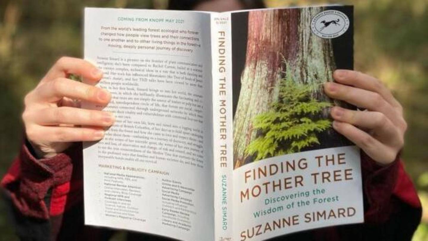 What is 'Finding the Mother Tree' all about? What is 'Finding the Mother Tree' all about?