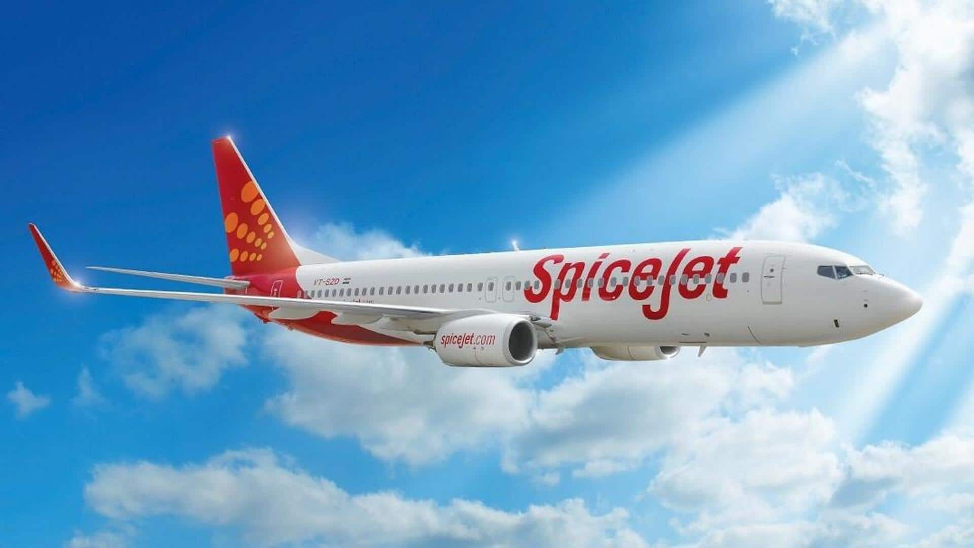 Mumbai-based couple acquires 19% stake in SpiceJet for Rs. 1,100cr