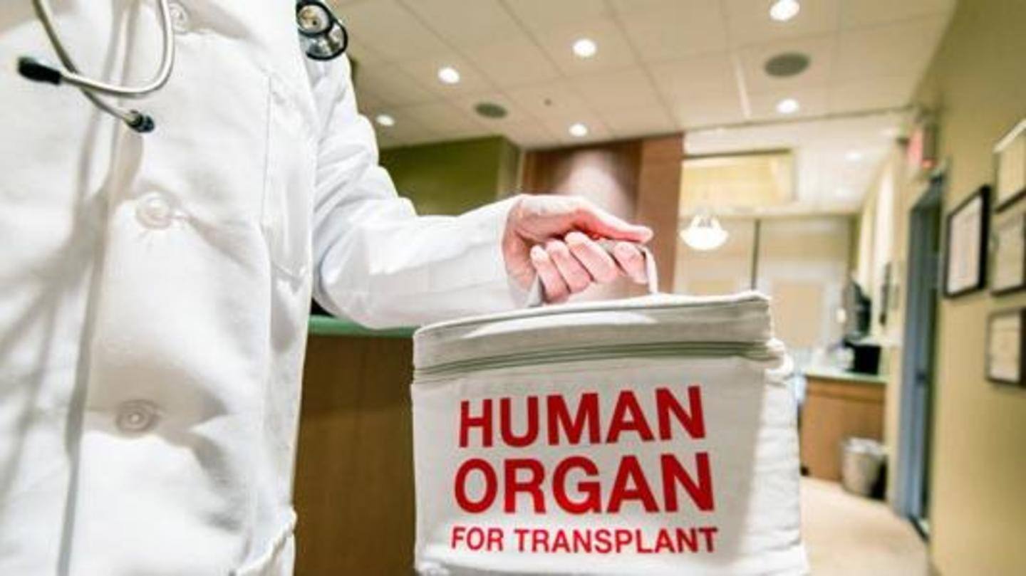 Brain dead woman's organs help save four lives