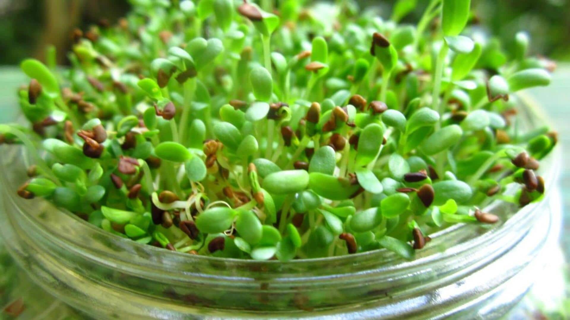 Healthy diet 101: 5 must-try sprouts Healthy diet 101: 5 must-try sprouts