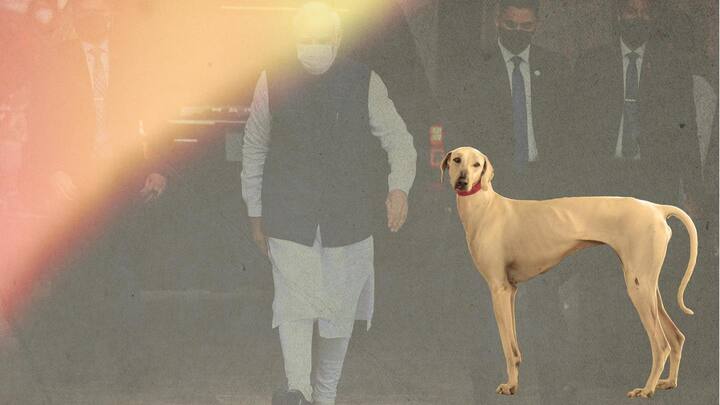 Desi dog breed to be included in Modi's security detail