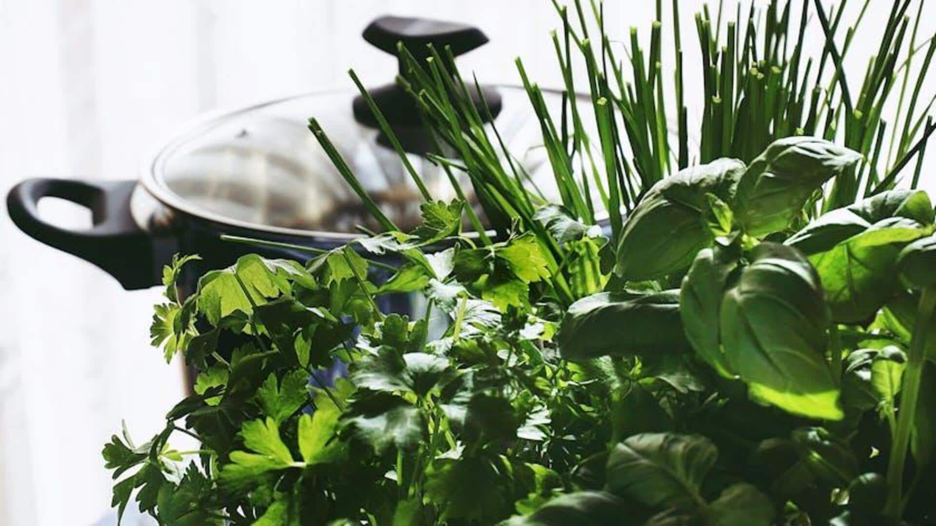 Starting a kitchen garden? Try these herbs Starting a kitchen garden? Try these herbs