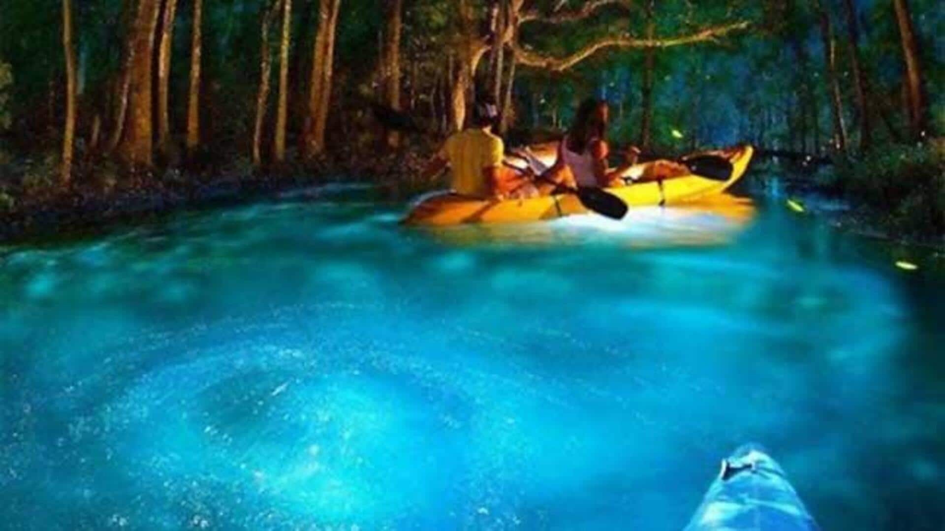 Night kayaking in Puerto Rico: What to know Night kayaking in Puerto Rico: What to know