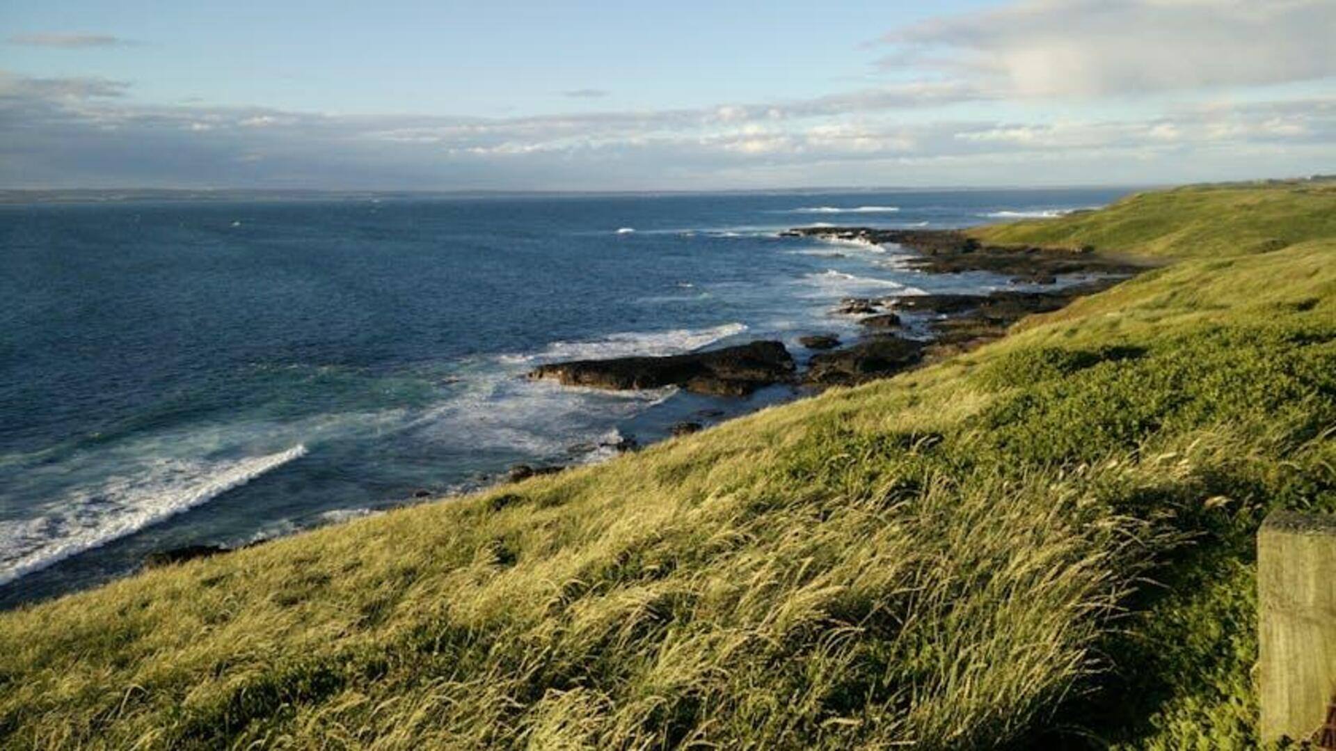 Witness the magical Penguin Parade on Phillip Island, Australia Witness the magical Penguin Parade on Phillip Island, Australia