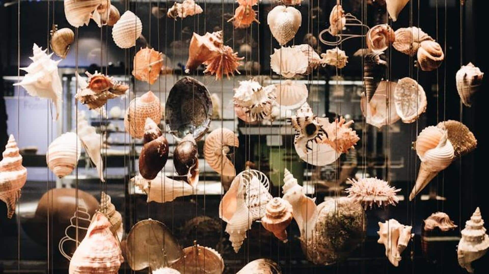 Enhancing well-being with DIY seashell art projects