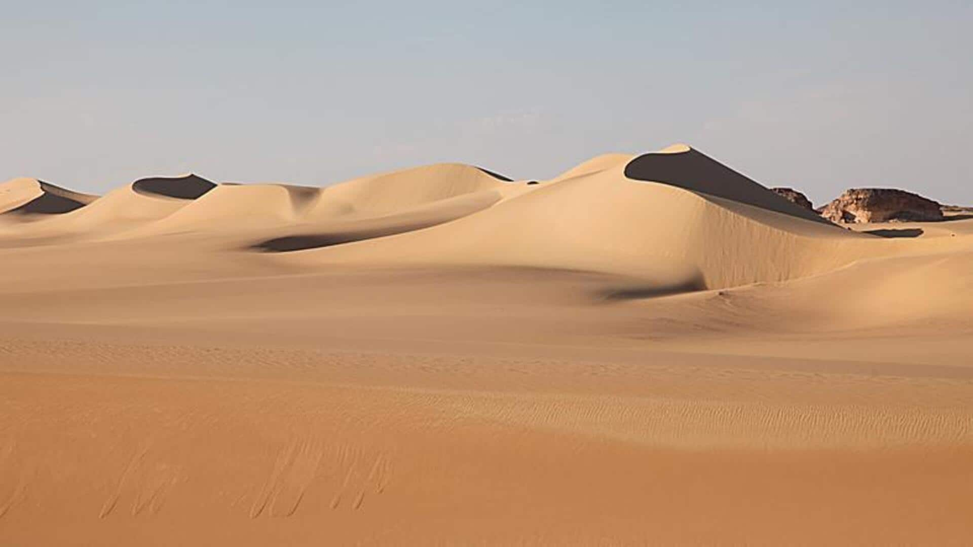 Glide across the Great Sand Sea, Egypt