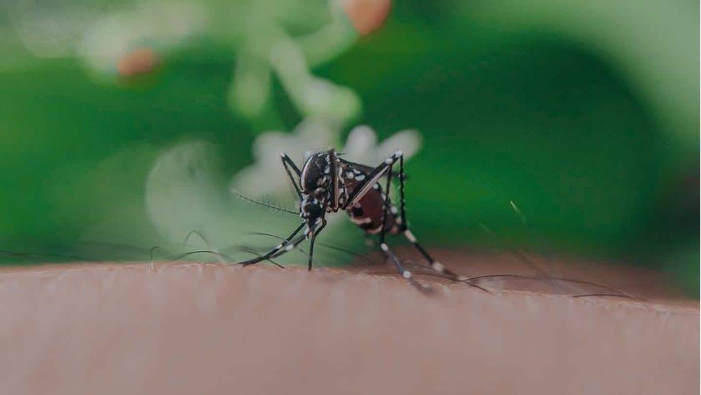 What is West Nile fever? Know about symptoms and prevention