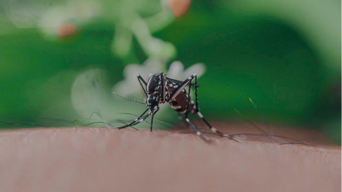 What is West Nile fever? Know about symptoms and prevention