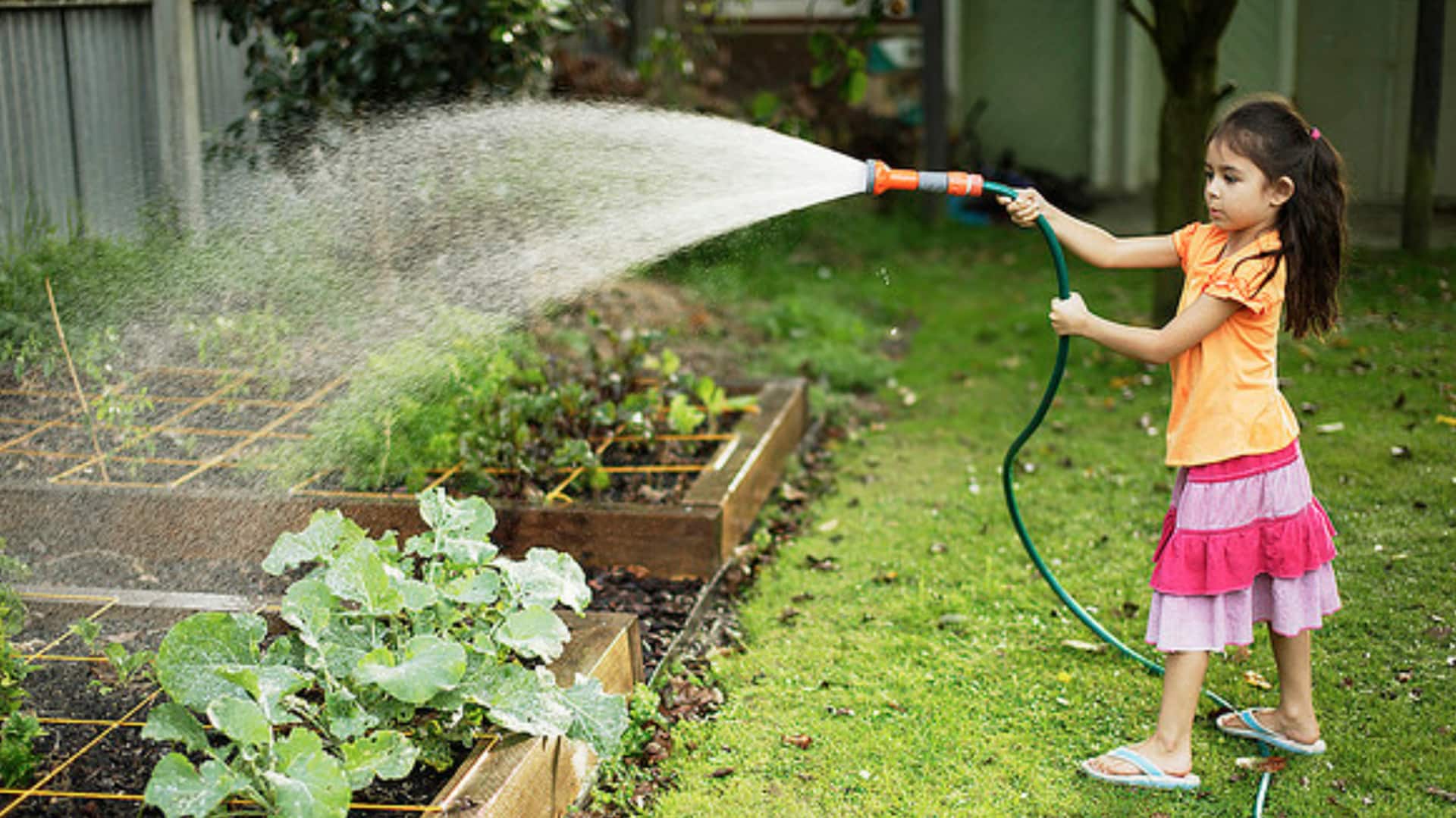 Gardening projects that enhance kids' problem-solving skills