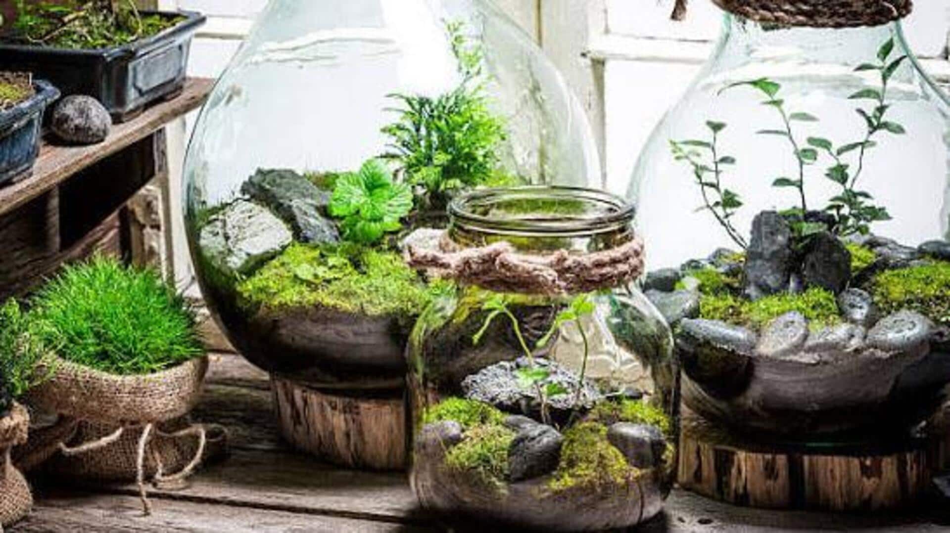 How to style a terrarium for any room 