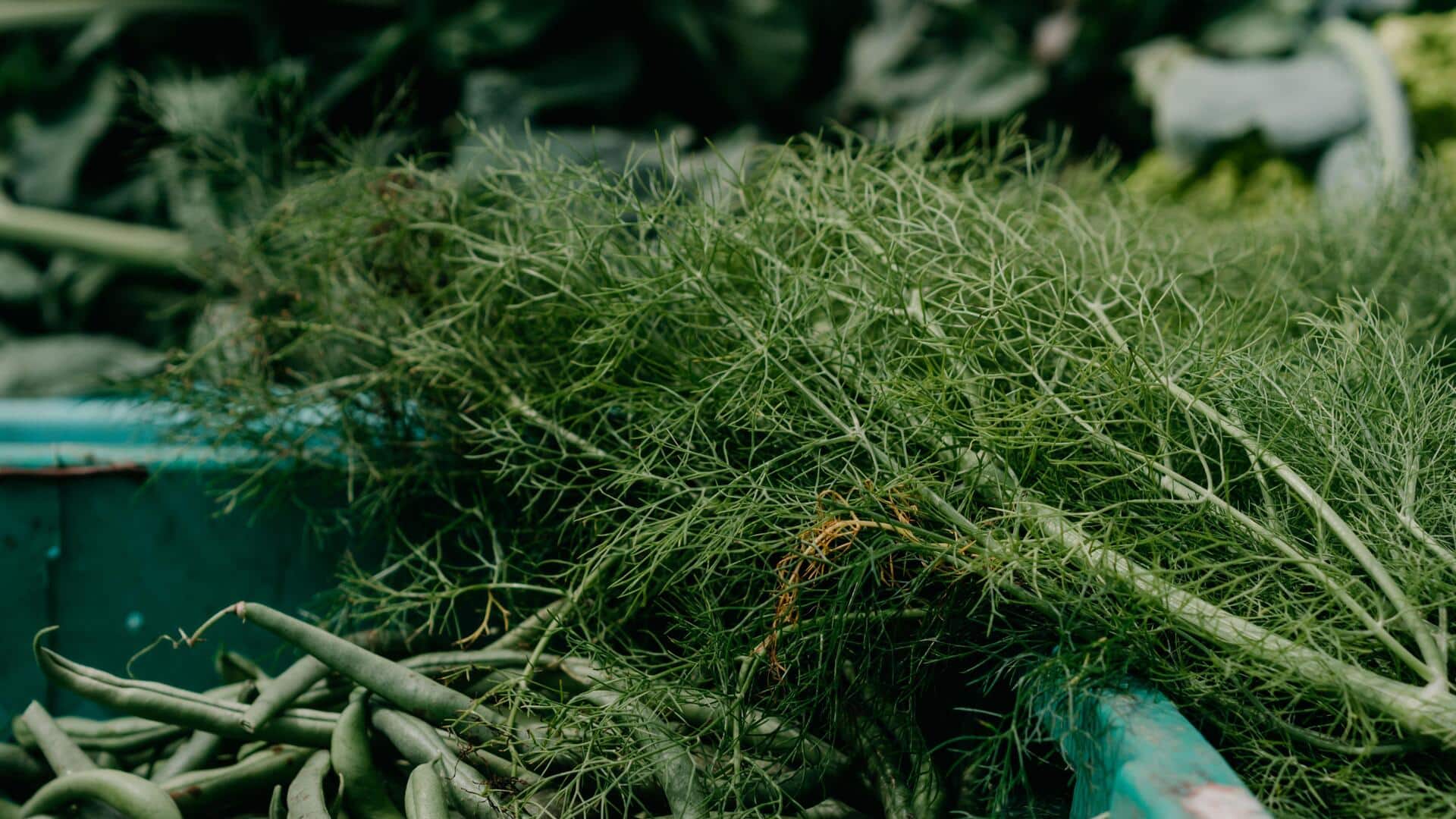 Wondering what to do with fennel? Try these ideas