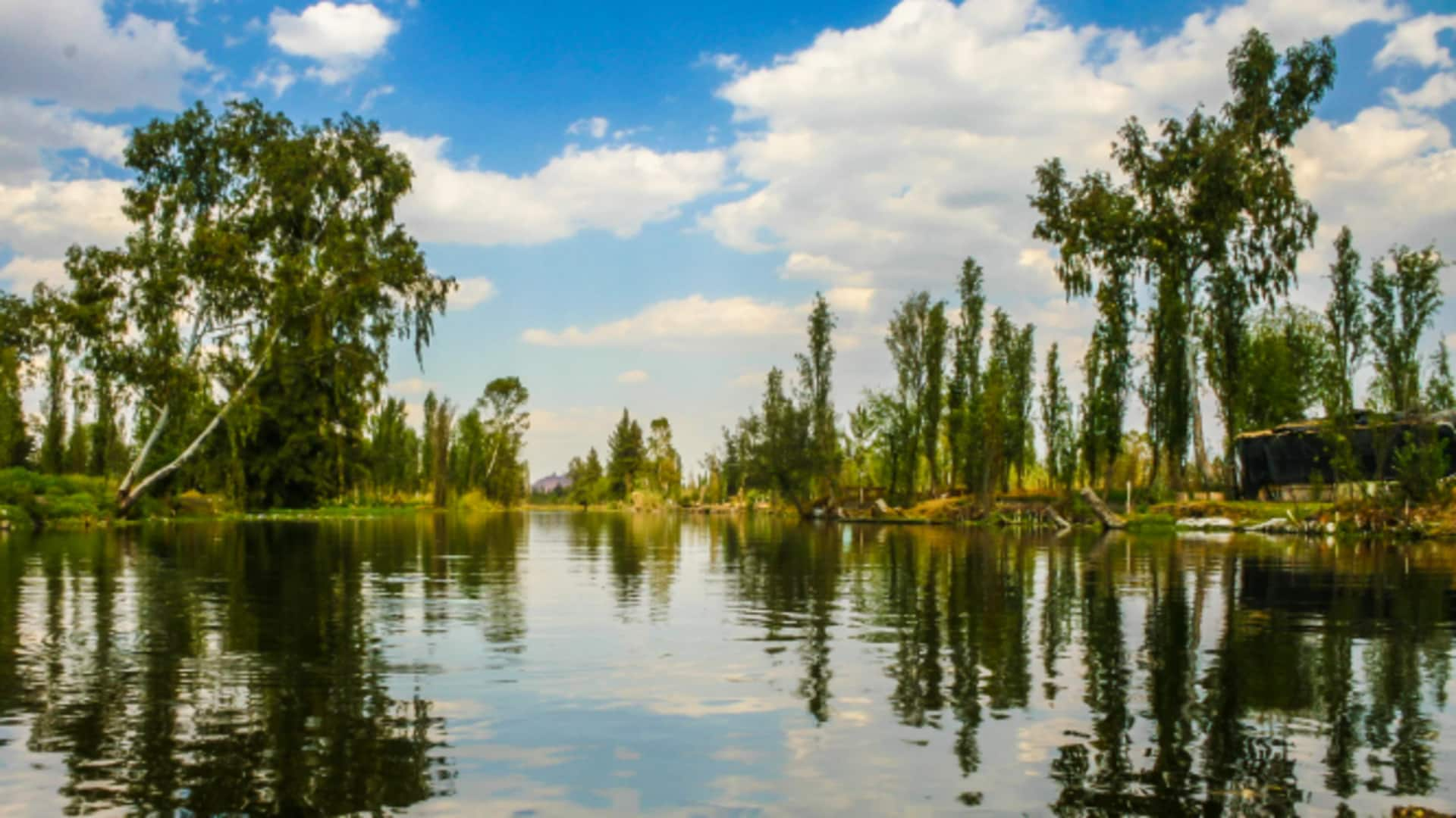 Xochimilco, Mexico: A dream destination for birdwatchers