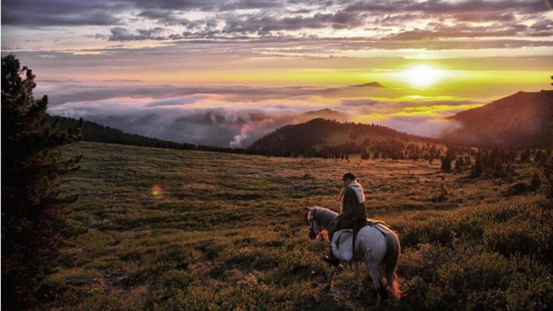 Horseback riding in Mongolia's Altai Mountains: A guide Horseback riding in Mongolia's Altai Mountains: A guide