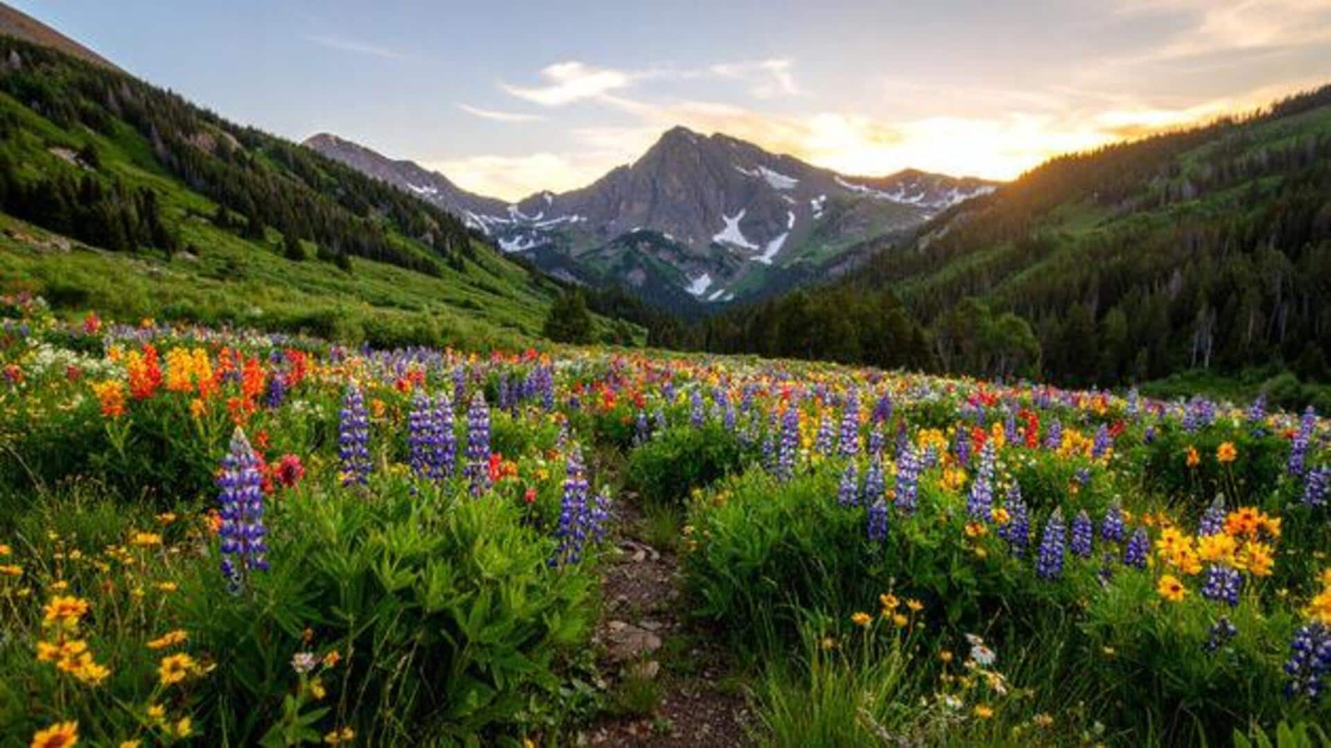 You must explore these scenic alpine meadows in Liechtenstein