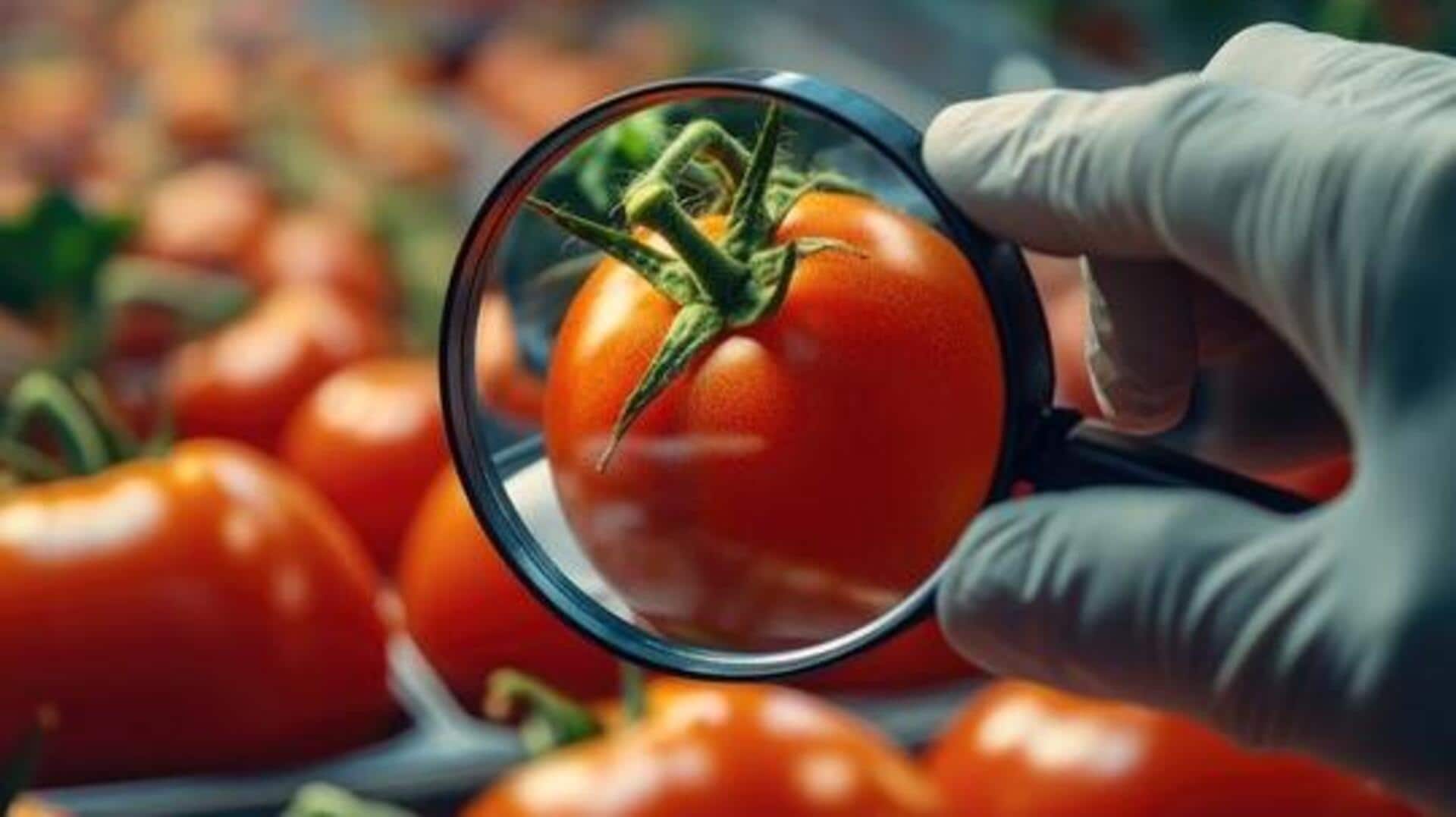 Preservatives in food: What you should know