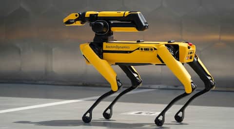 US enforcement agency plans to spend $2M on robotic dogs