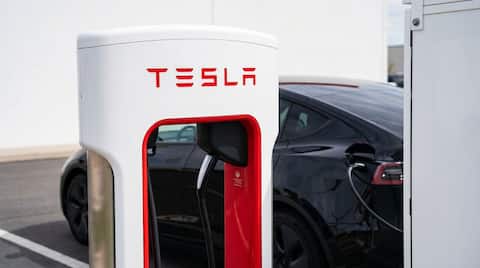Tesla made $570M from SpaceX, xAI deals last year 