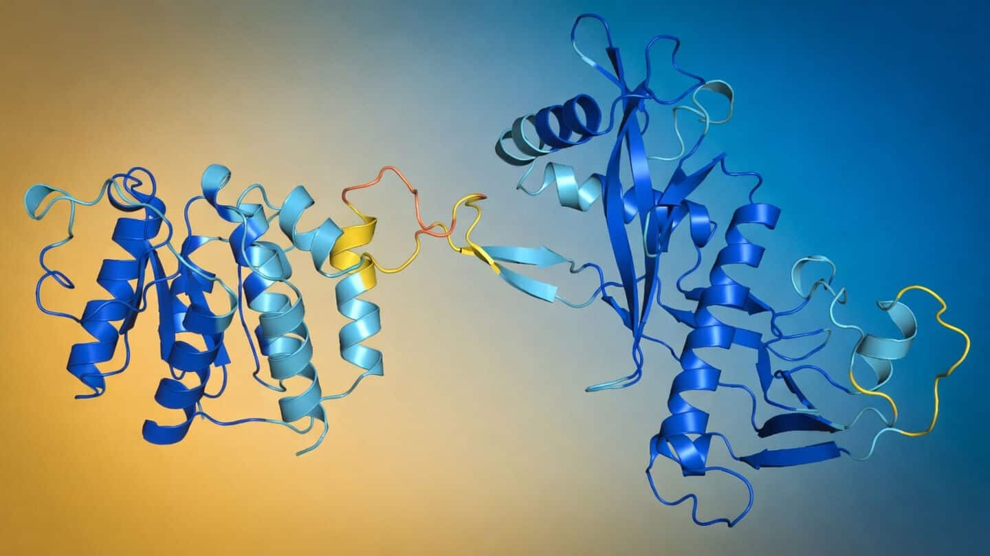 Apple introduces SimpleDesign, an AI model for protein design