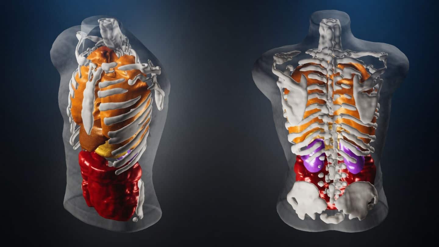 Midjourney moves beyond AI images, unveils full-body ultrasound scanner