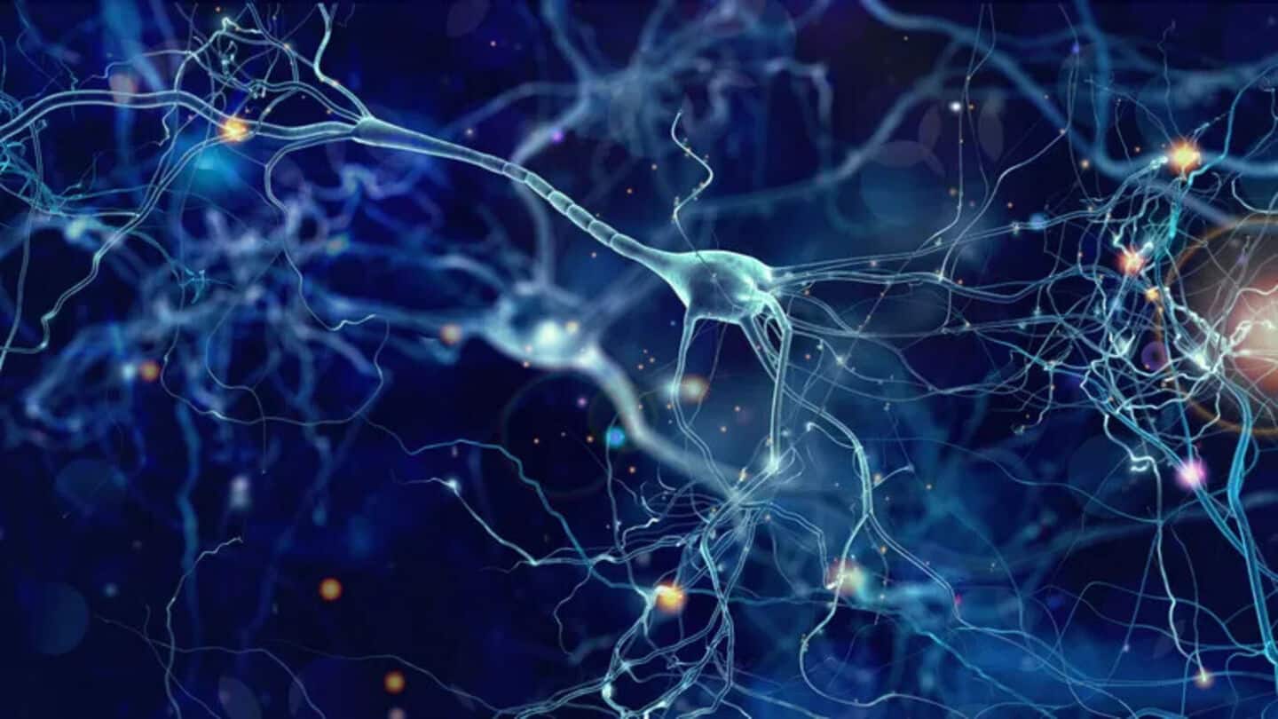 Stem cell therapy shows promise in treating Parkinson's disease