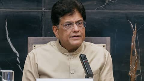 India's AI sector lacks scale for IPOs, says Piyush Goyal